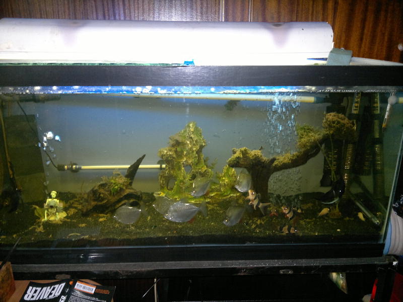 03072011166.jpg