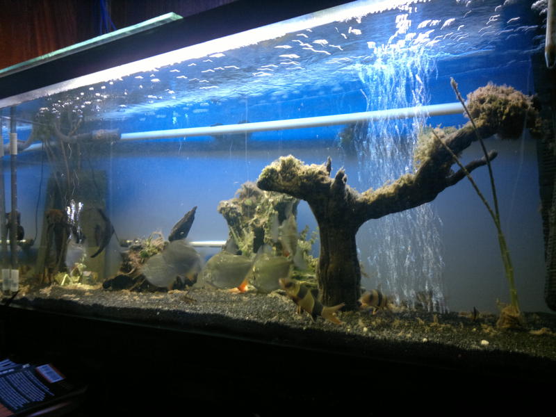 03072011184.jpg