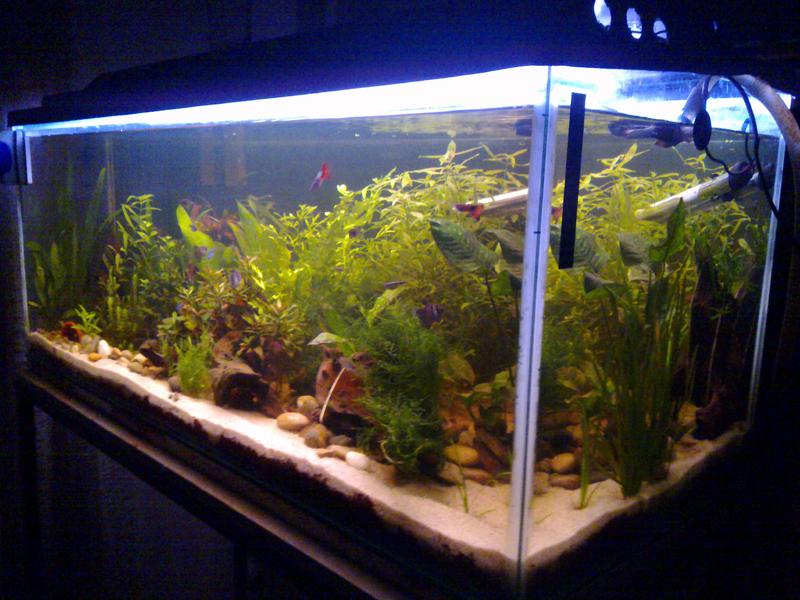 04062010326.jpg