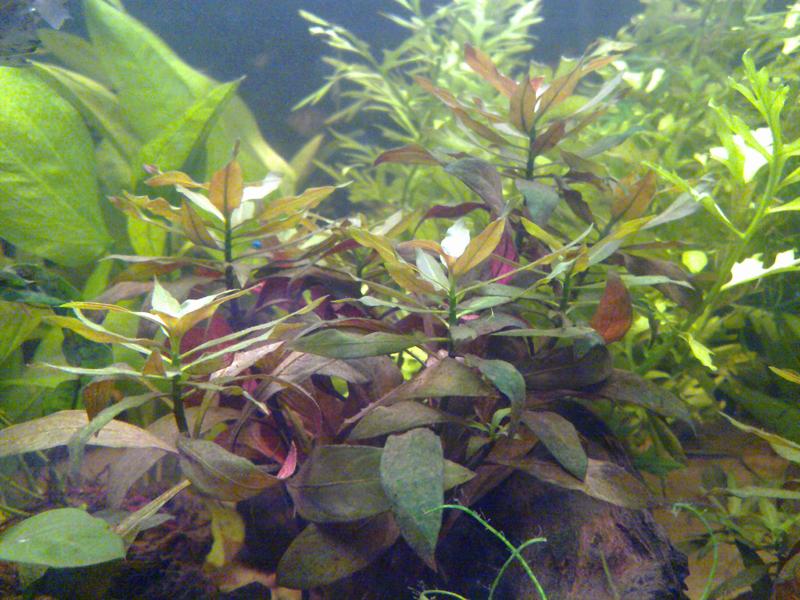 04062010333.jpg