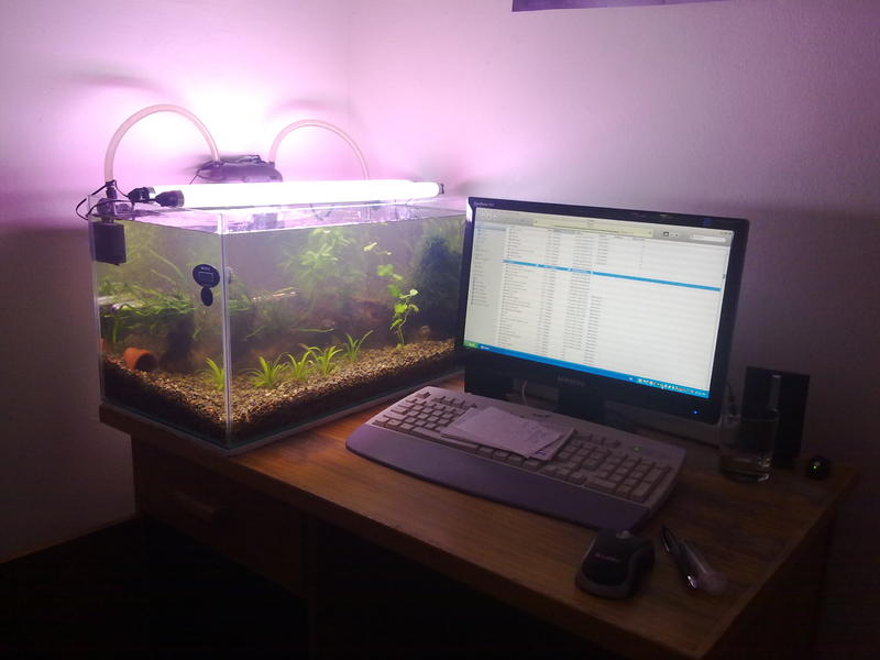05092010083.jpg
