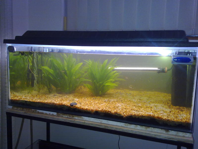 06092010088.jpg