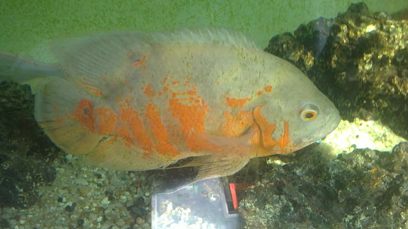 07082011618.jpg