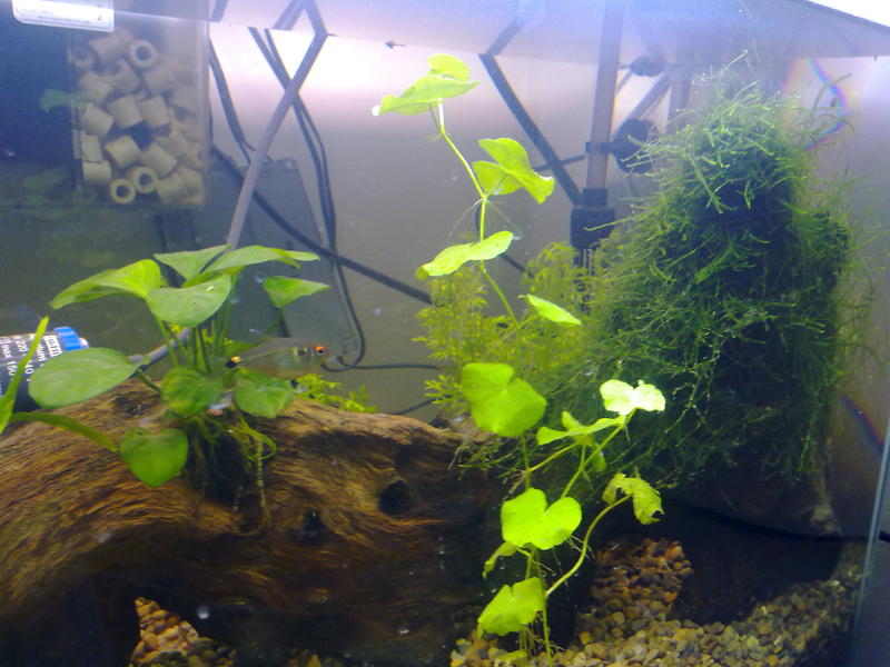 07092010090.jpg