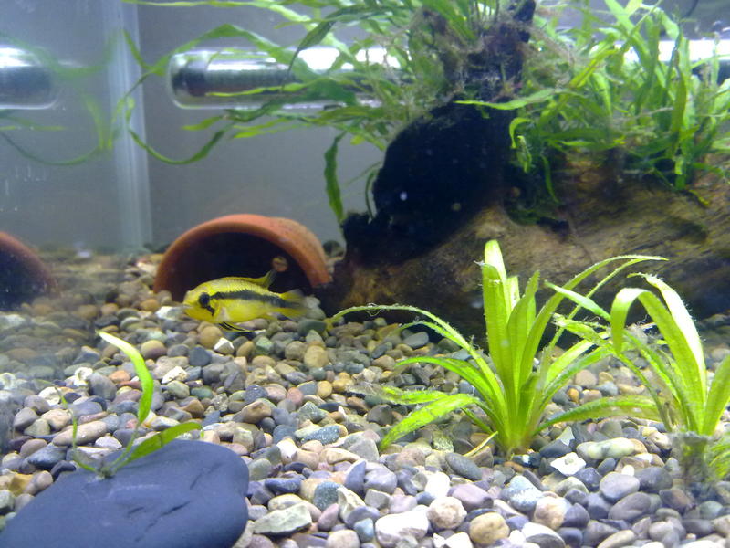 07092010092.jpg