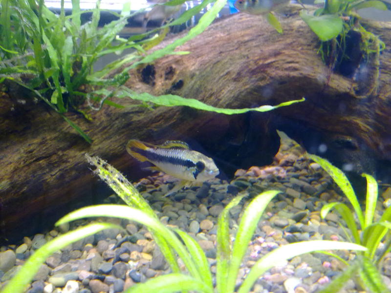 07092010093.jpg