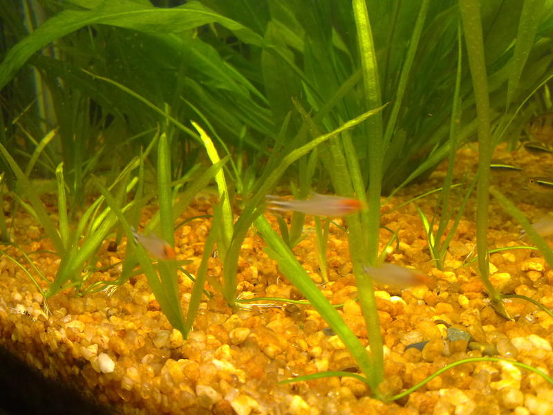 07092010101.jpg