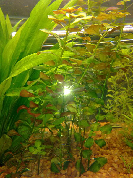07092010103.jpg