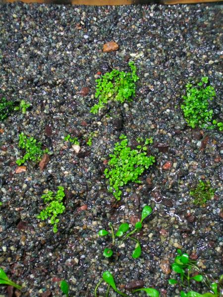 100_0656.jpg