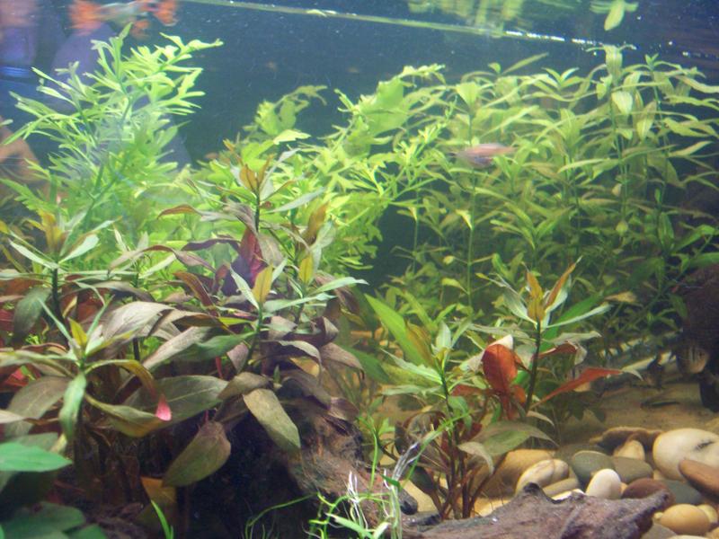100_0705.jpg