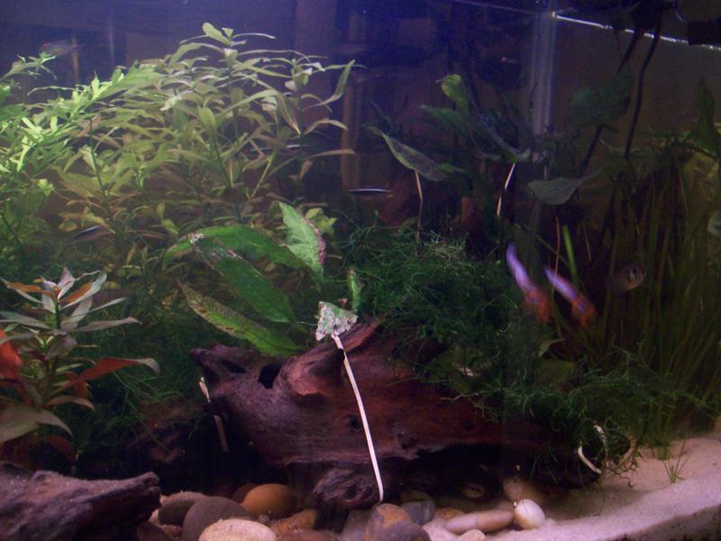 100_0708.jpg