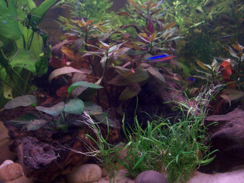 100_0710.jpg