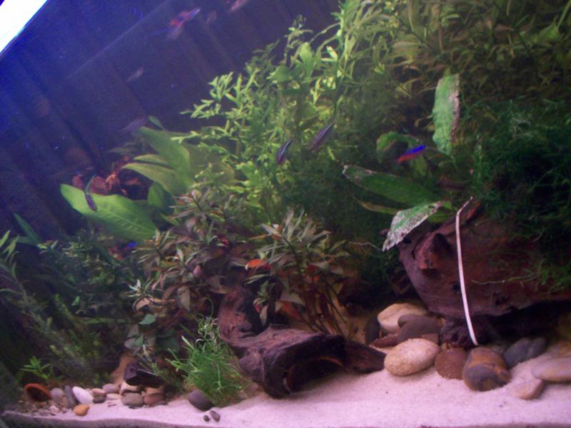 100_0716.jpg
