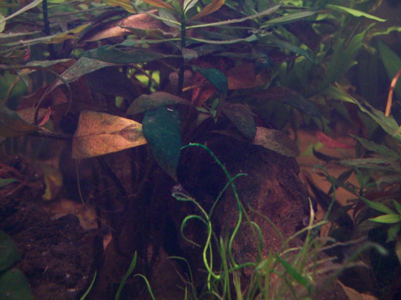 100_0754.jpg