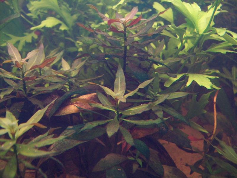 100_0755.jpg