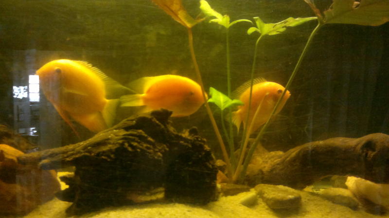 14032012117.jpg