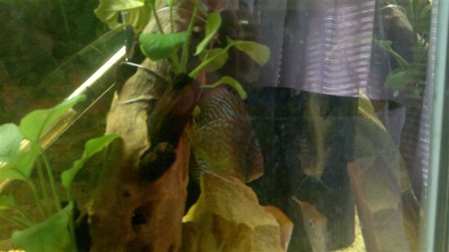 14062011023.jpg