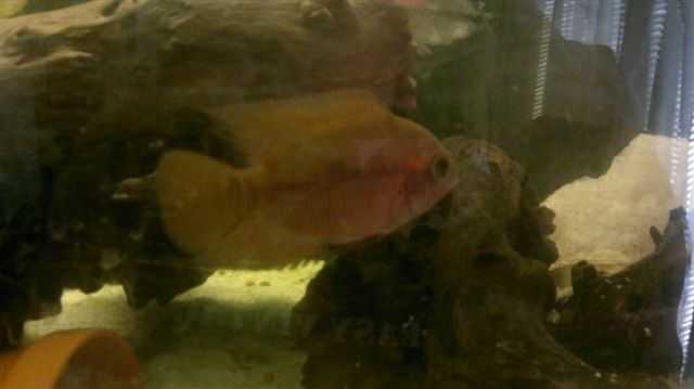 14062011027.jpg