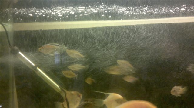 14062011030.jpg