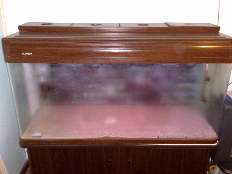 16072011588.jpg
