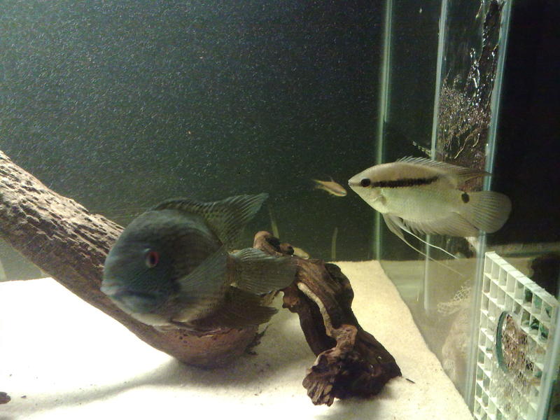 16112011673.jpg
