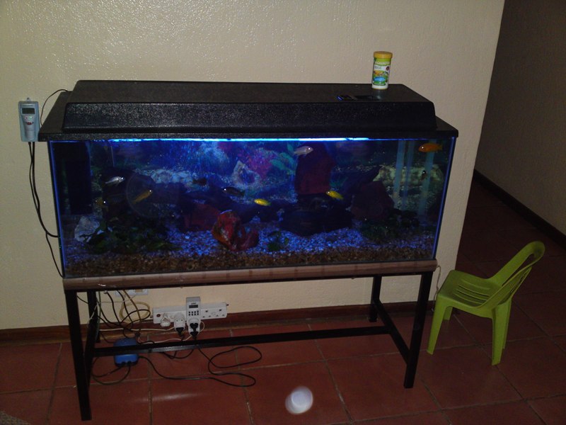 20100708093.JPG
