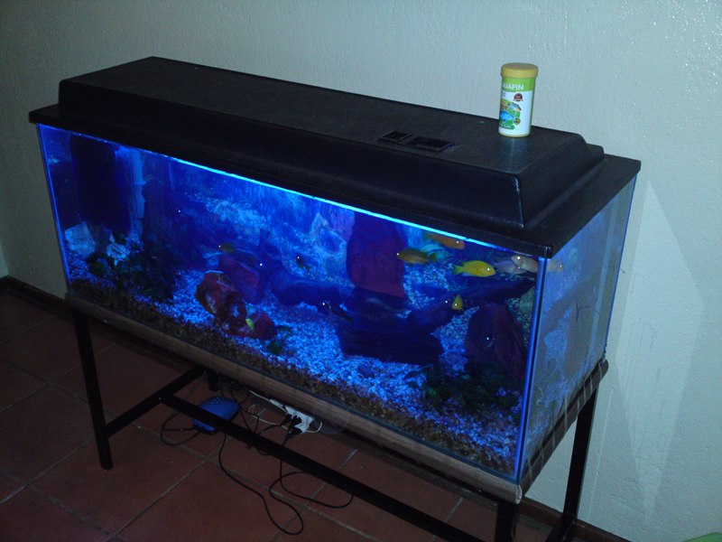 20100708094.JPG