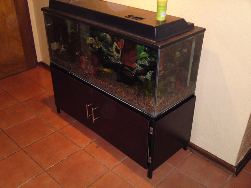 20100715125.JPG