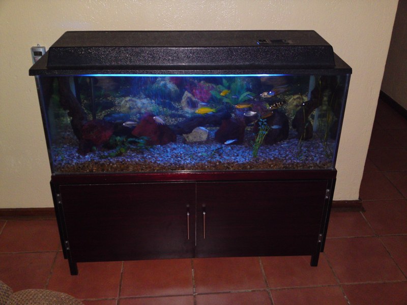 20100729133.JPG