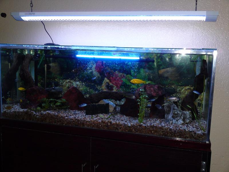 20100805158.jpg