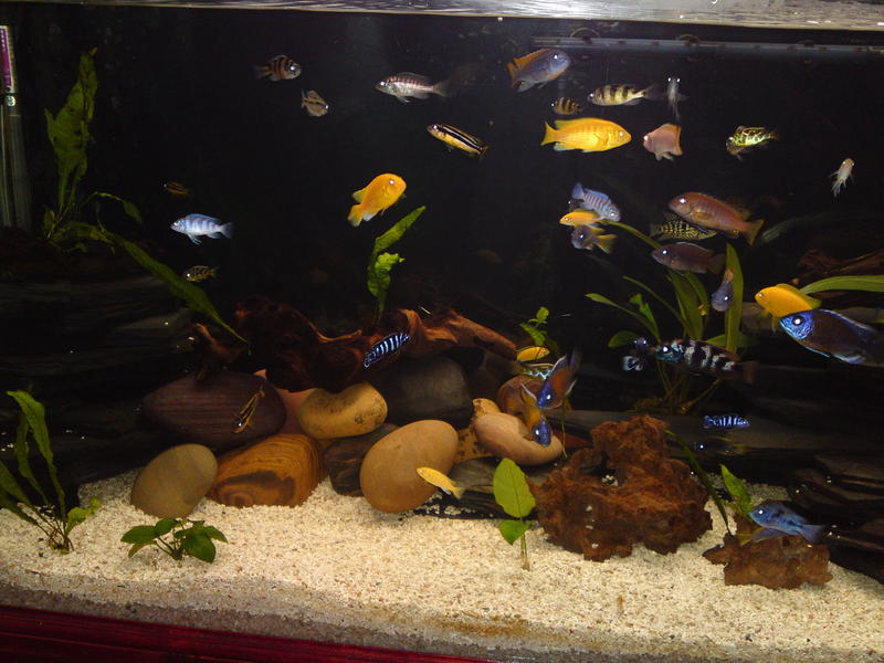 20101115418.jpg