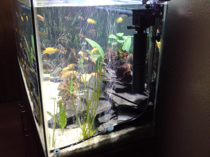20101115424.jpg