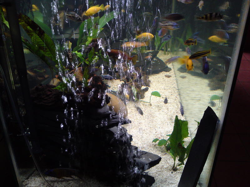 20101115425.jpg