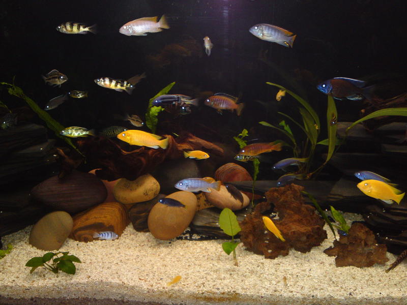 20101115431.jpg