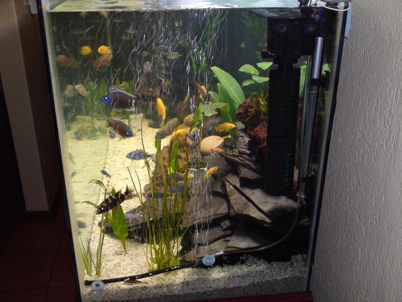20101115434.jpg