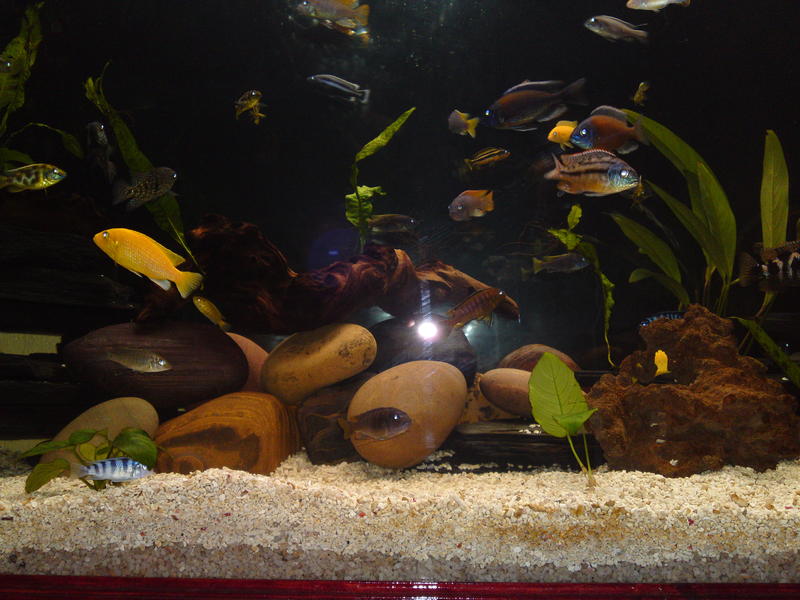 20101115437.jpg
