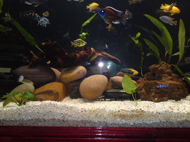 20101115438.jpg