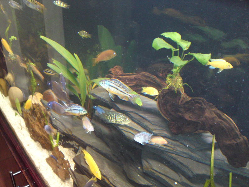 20101115440.jpg