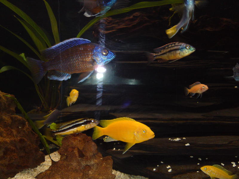 20101115441.jpg