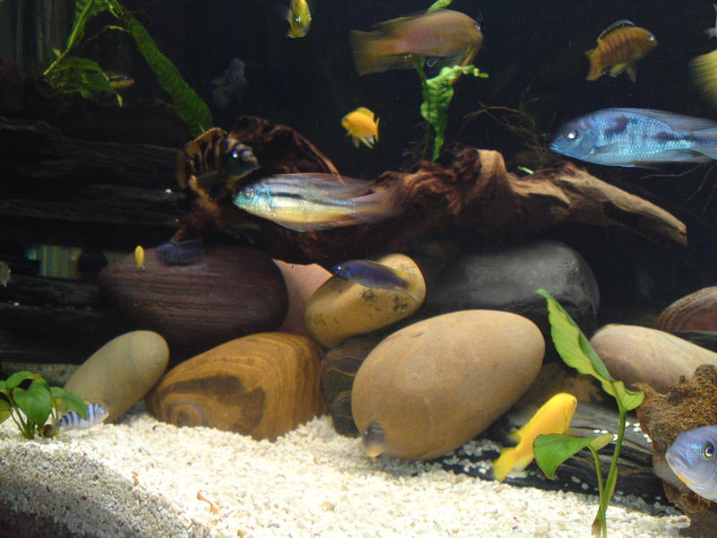 20101115442.jpg