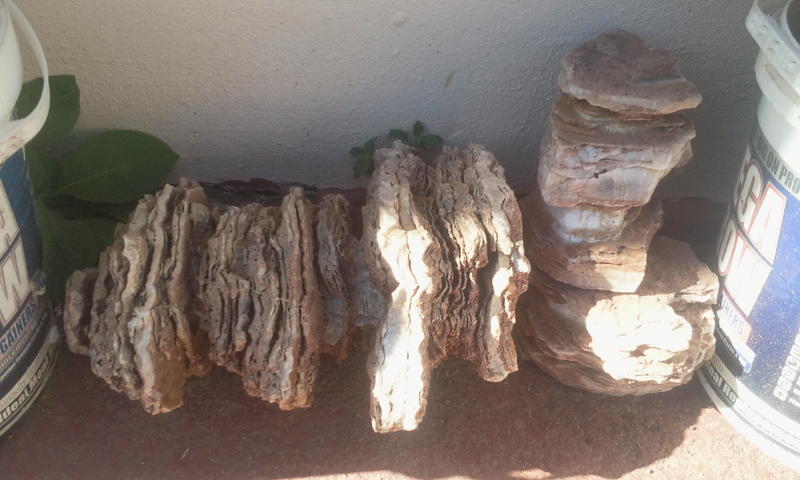 2011-10-20 16.06.16.jpg