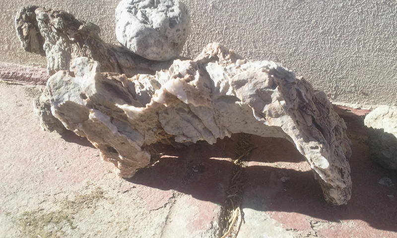 2011-10-20 16.06.37.jpg