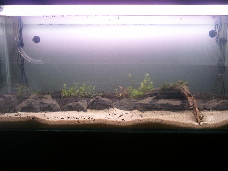 2012-02-20 08.29.33.jpg