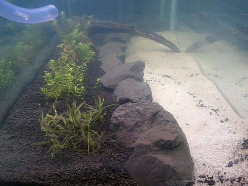 2012-02-20 08.29.46.jpg