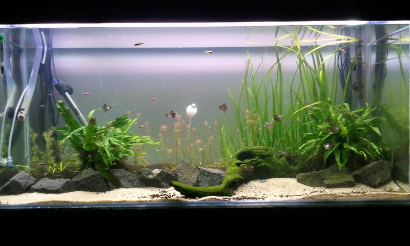 2012-08-19 20.01.31.jpg