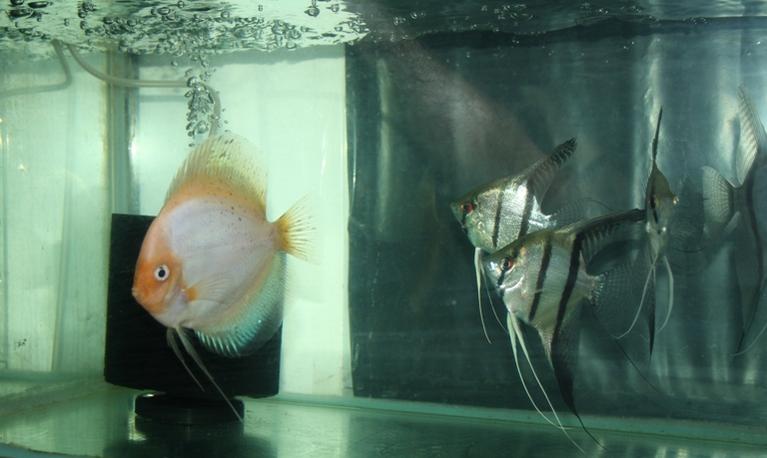 2012-10-25 15.35.21.jpg