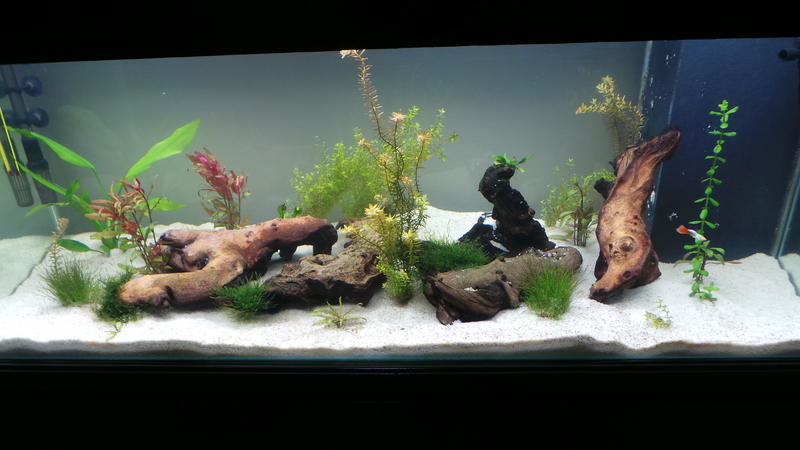 20120711_111110.jpg
