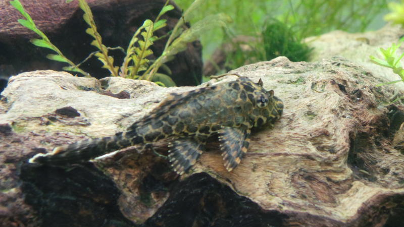 20120717_113150.jpg