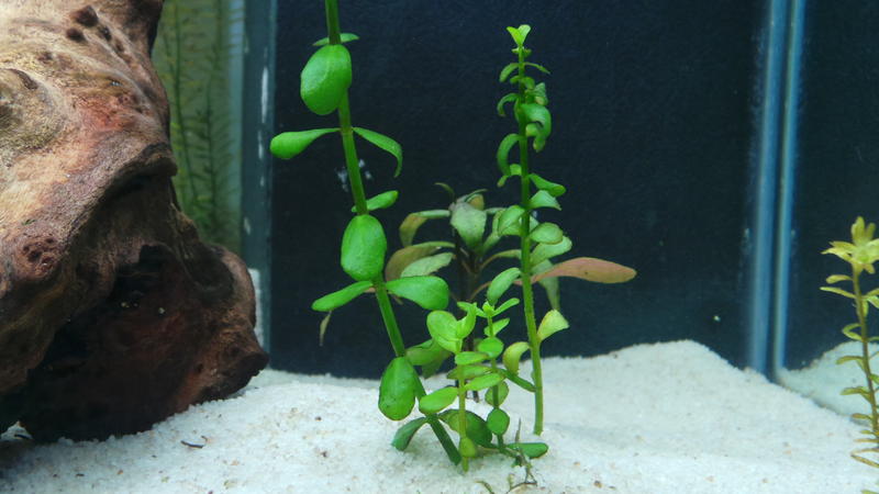 20120717_113227.jpg