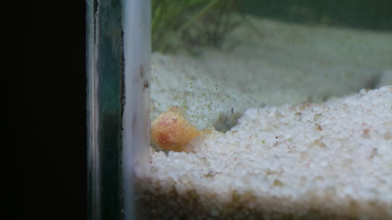 20120717_113244.jpg